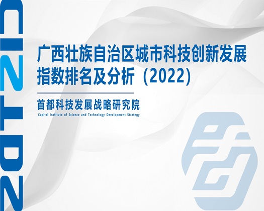 老妹肏屄网【成果发布】广西壮族自治区城市科技创新发展指数排名及分析（2022）